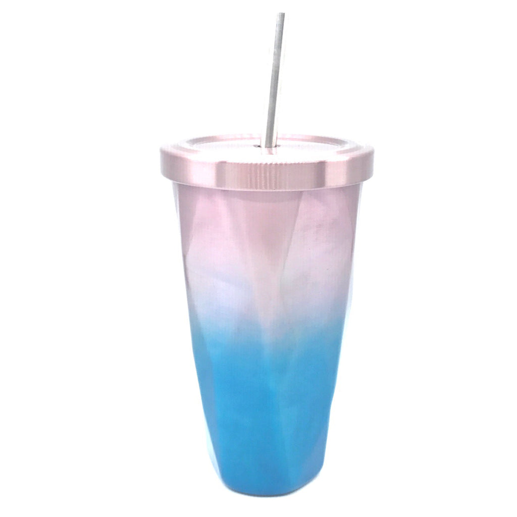 Stainless Steel Tumbler - Silver Blue
